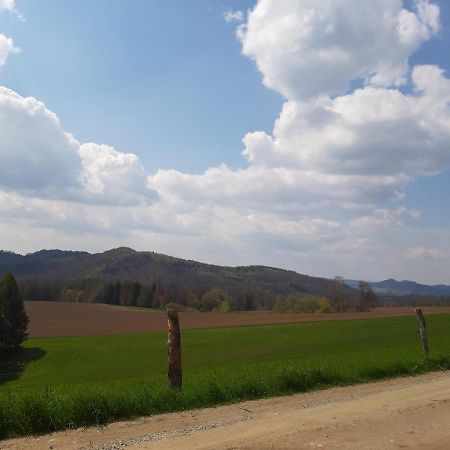 Fewo Schiffner Bad Schandau Exterior foto