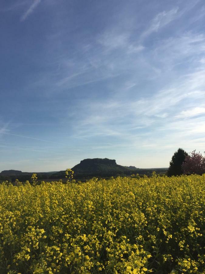 Fewo Schiffner Bad Schandau Exterior foto